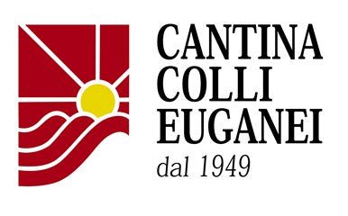 Logo sponsor