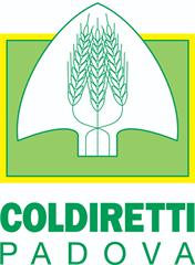 Logo sponsor