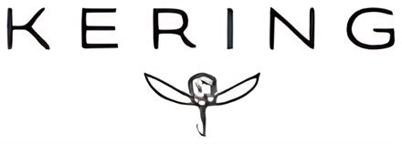 Logo sponsor